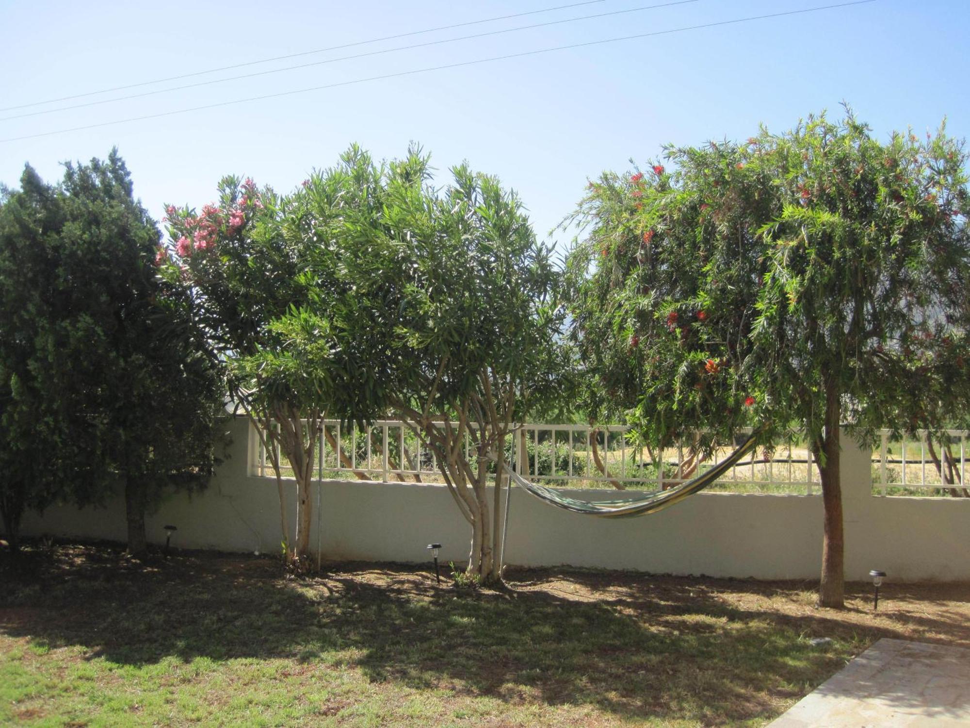 To Livadi Apartment Lefkogeia Exterior photo